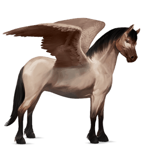 pegasuspony welsh musegrå