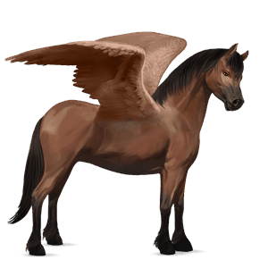 pegasuspony welsh brun