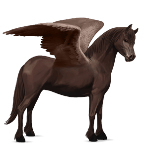pegasuspony welsh mørkebrun