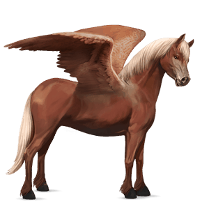 pegasuspony fjordhest brunblak