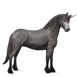enhjørningepony gråskimmel