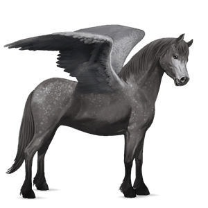 pegasuspony welsh gråskimmel