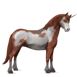 enhjørningepony welsh kirsebærbrun