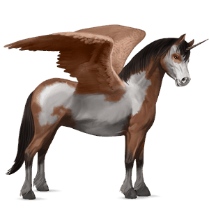 bevinget enhjørningepony  highland pony blakket