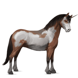 enhjørningepony welsh mørkebrun