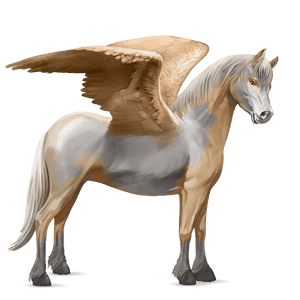 pegasuspony welsh blakket