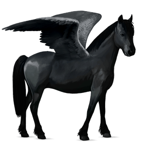 pegasuspony connemara rød