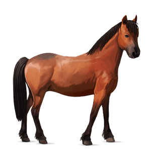 pony rød med lys man og hale