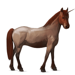 rideenhjørning islænder rød stikkelhåret