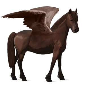 pegasuspony welsh skimmel