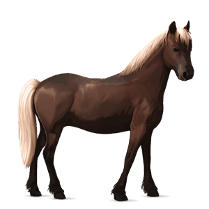 pony haflinger leverrød med lys man og hale