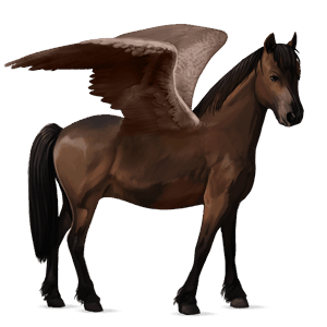 pegasuspony welsh leverrød