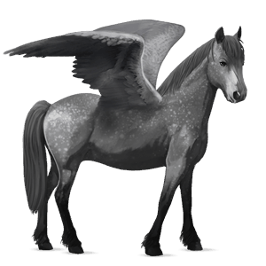 pegasuspony kerry bog gråskimmel