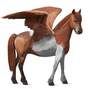 ridepegasus islænder brun