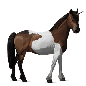 enhjørningepony brun