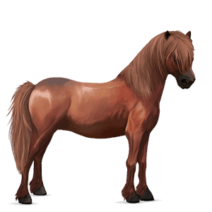 pony rød