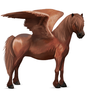 pegasuspony connemara rød