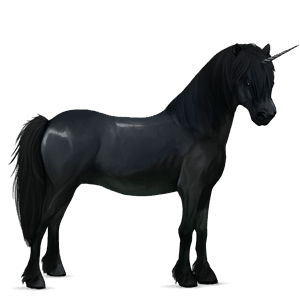 enhjørningepony connemara leverrød