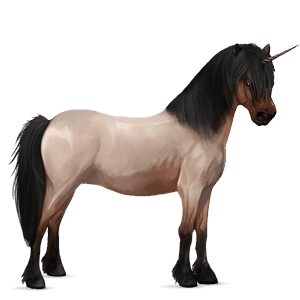 enhjørningepony fjordhest grå