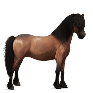 ridehest paint horse rødbroget overo