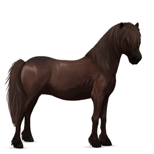 pony connemara rød med lys man og hale