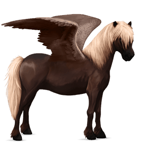 pegasuspony kerry bog mørkebrun tobiano