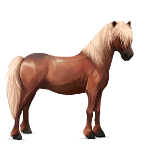 pony haflinger rød med lys man og hale