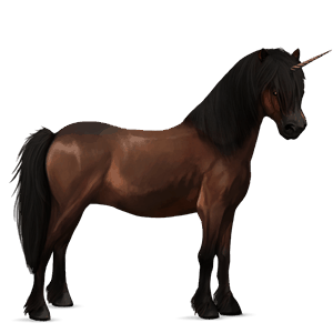 enhjørningepony newfoundlænder mørkebrun