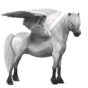 pegasuspony kerry bog lysegrå