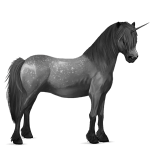 enhjørningepony connemara gråskimmel