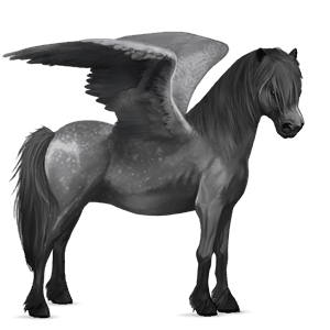 pegasuspony welsh rød stikkelhåret