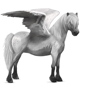 pegasuspony highland pony lysegrå