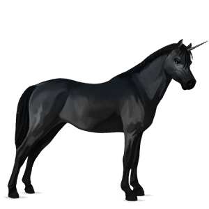 enhjørningepony belgisk sportspony cremello