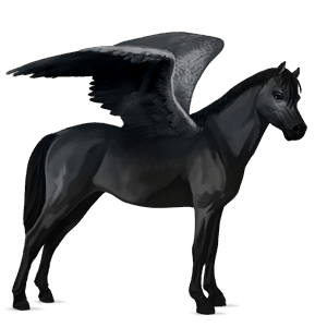 pegasuspony welsh rød stikkelhåret