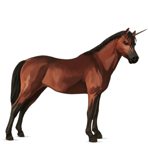 enhjørningepony welsh kirsebærbrun