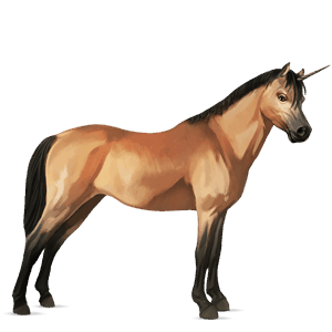enhjørningepony blakket