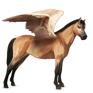 pegasuspony mørkebrun