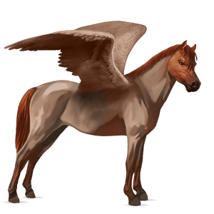 pegasuspony leverrød
