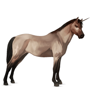 enhjørningepony belgisk sportspony cremello