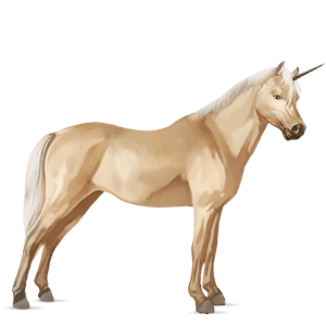 enhjørningepony belgisk sportspony cremello