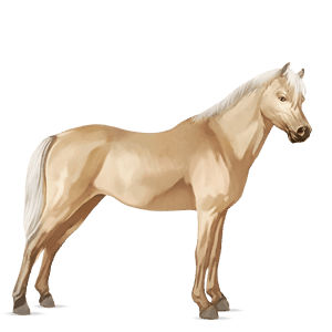 pony rød med lys man og hale