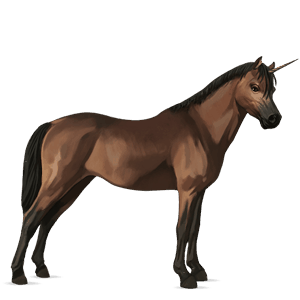 enhjørningepony connemara gråskimmel