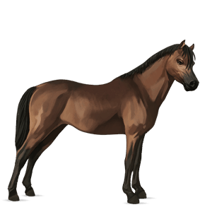 pony kirsebærbrun