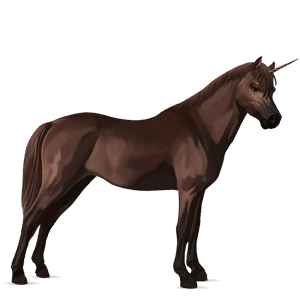 enhjørningepony highland pony lysegrå