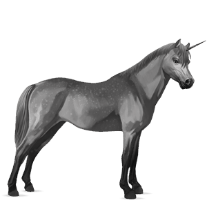 enhjørningepony fjordhest brunblak