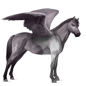 pegasuspony newfoundlænder kirsebærbrun