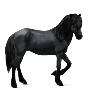 ridehest islænder rød