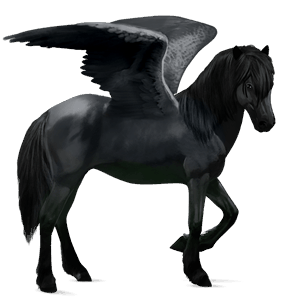 ridepegasus tennessee walker sort