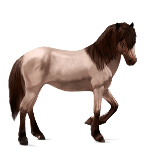 ridehest tennessee walker kirsebærbrun
