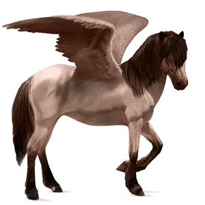 ridepegasus holstener kirsebærbrun